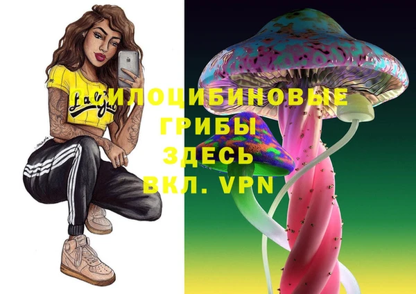 mdpv Зеленодольск