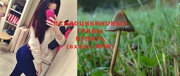 дмт Зеленокумск